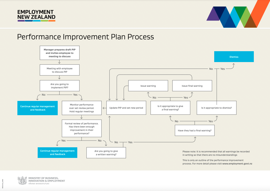 Performance improvement plan process map
