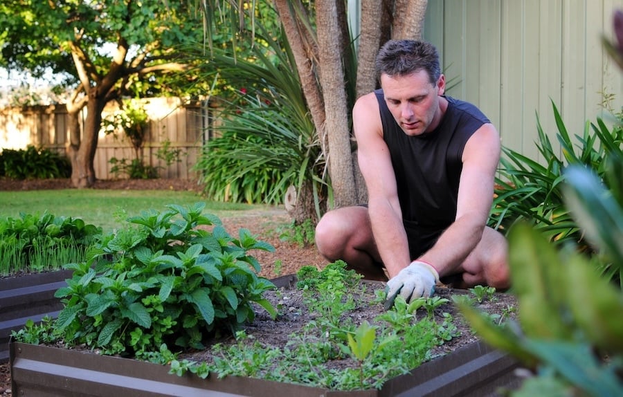 worker on garden leave