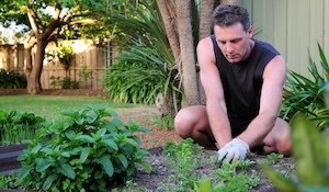 Garden leave in New Zealand